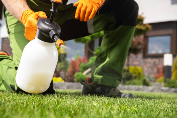 Best Best Pest Control Companies  in Walnut Creek, OH