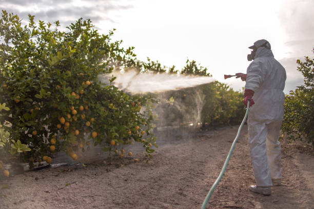 Best Local Pest Control Services  in Walnut Creek, OH