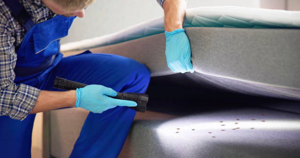 Best Pest Control Treatment  in Walnut Creek, OH