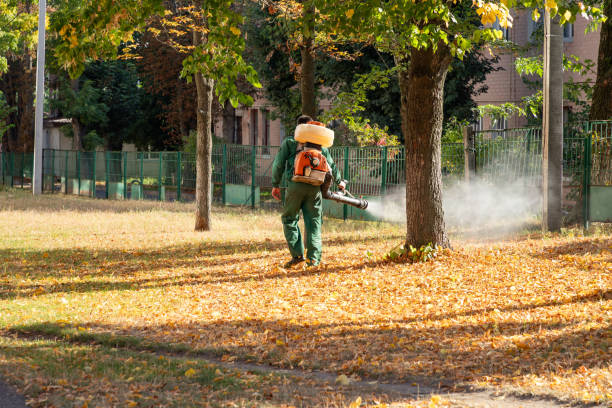 Best Bird Control  in Walnut Creek, OH