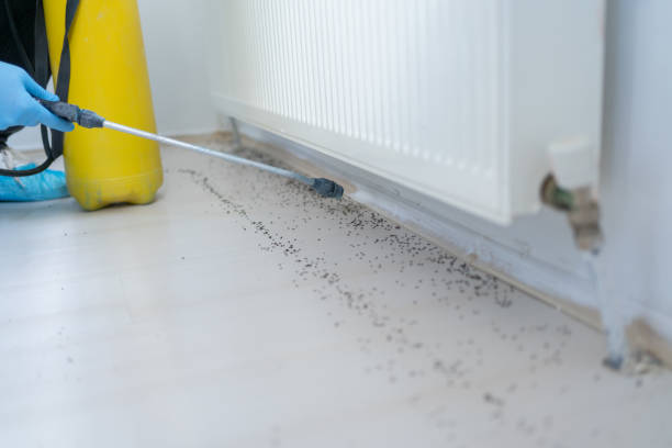 Pest Control for Restaurants in Walnut Creek, OH