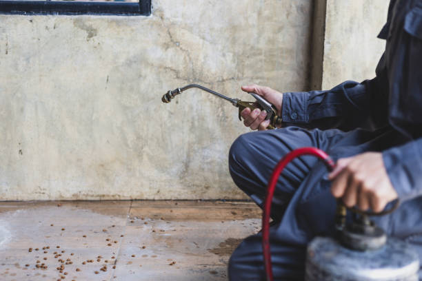 Best Termite Control Services  in Walnut Creek, OH