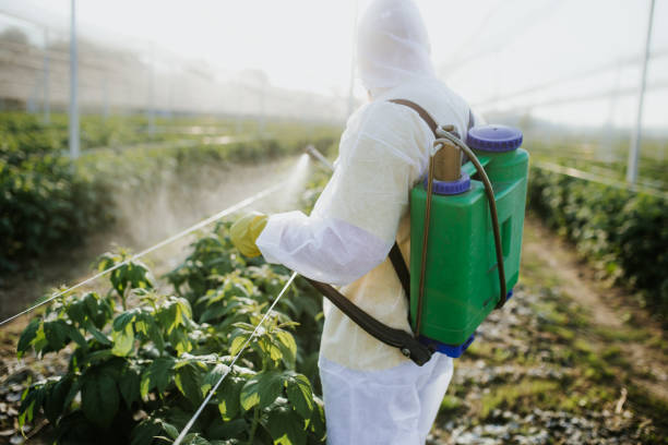Best Exterminator Services  in Walnut Creek, OH